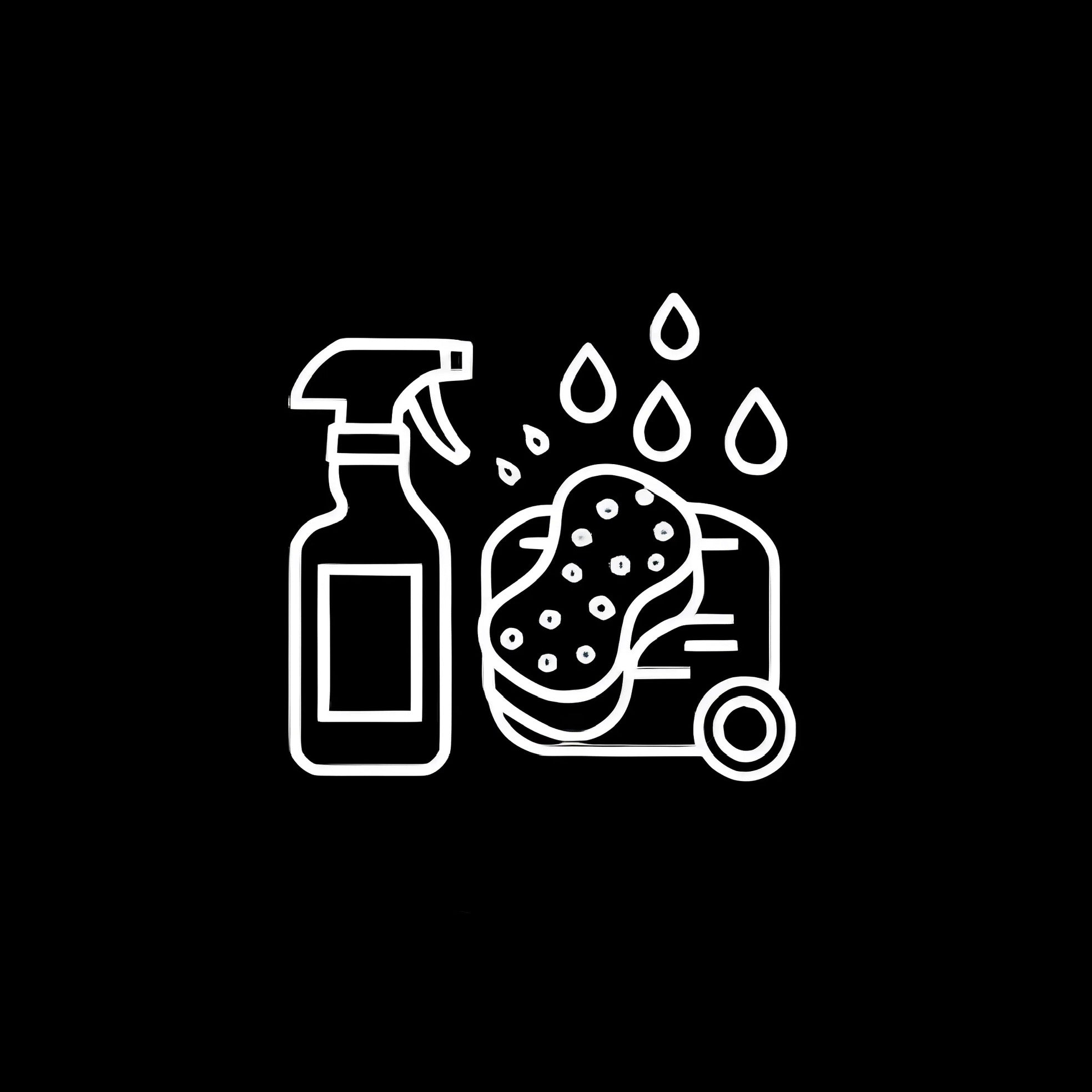 DETAILING Y LIMPIEZA